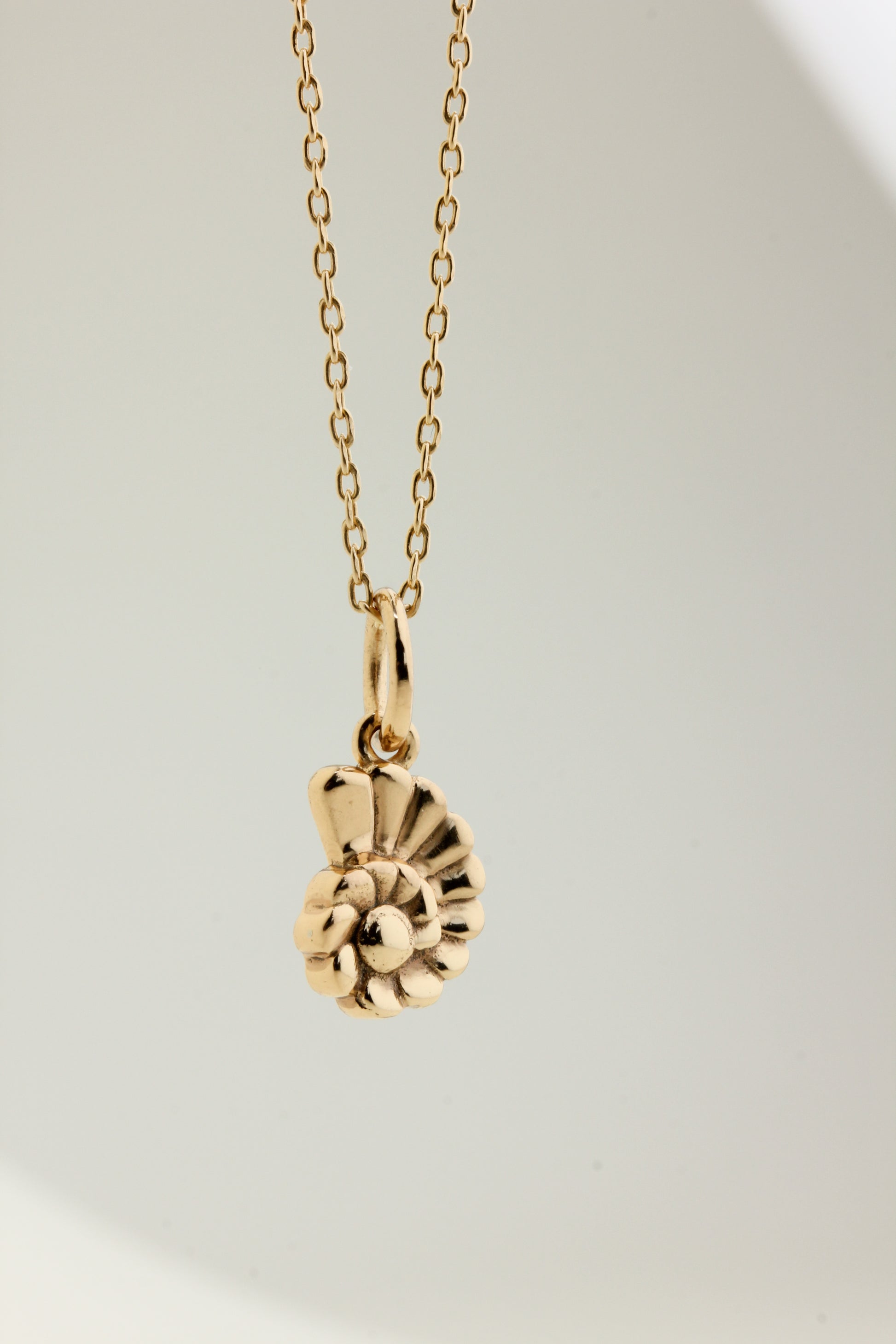 Tiny Nautilus Fossil Charm Necklace