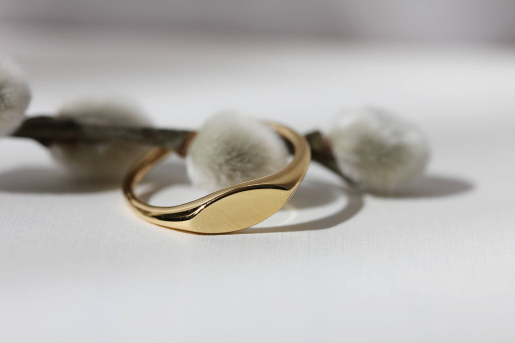 Nouvelle Signet
