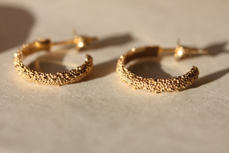 Dune Hoops
