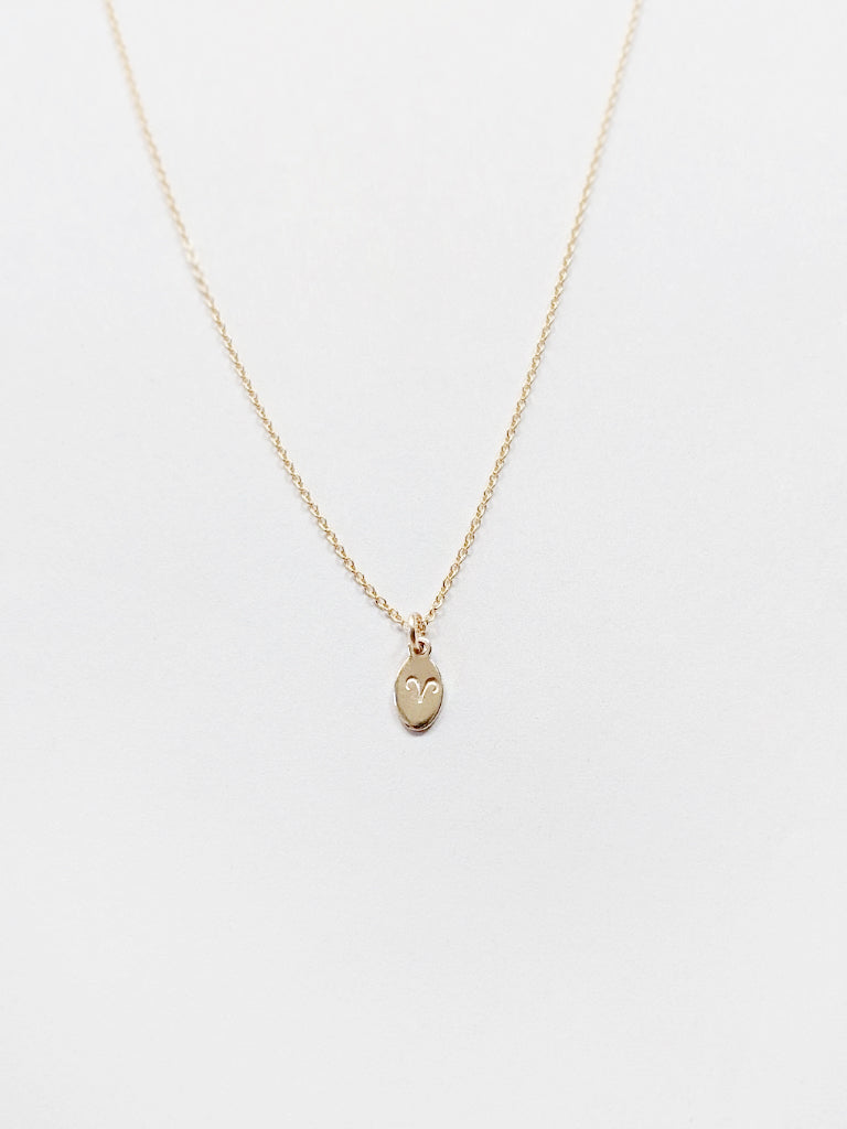 Tiny Zodiac Necklace